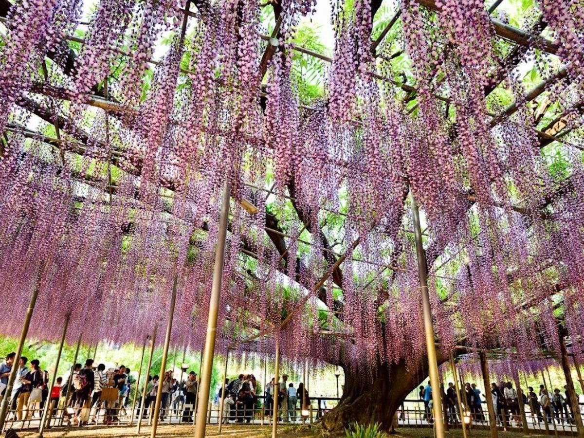 Nasushiobara Ichimantei Hotel Exterior photo